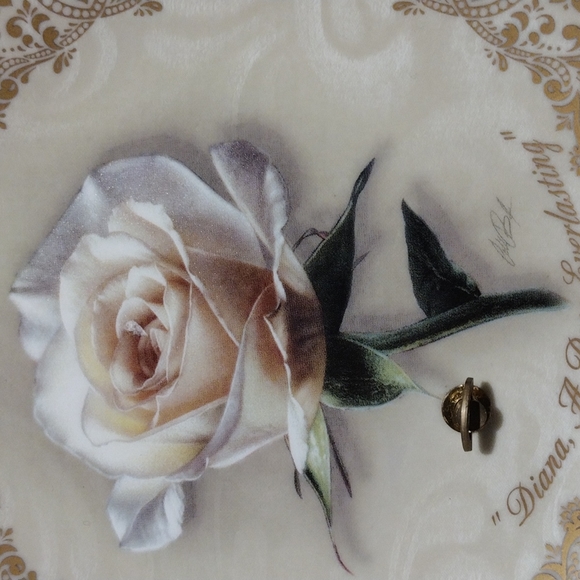 Vintage Lady Diana A Rose Everlasting Musical Plate. - Picture 3 of 6